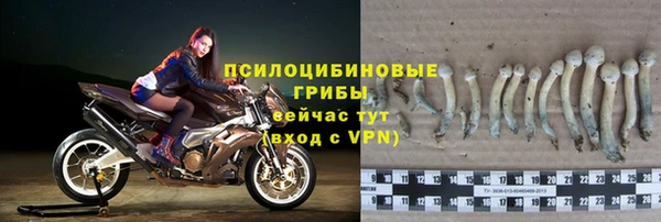 ALPHA-PVP Армянск