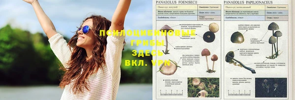 спайс Аркадак