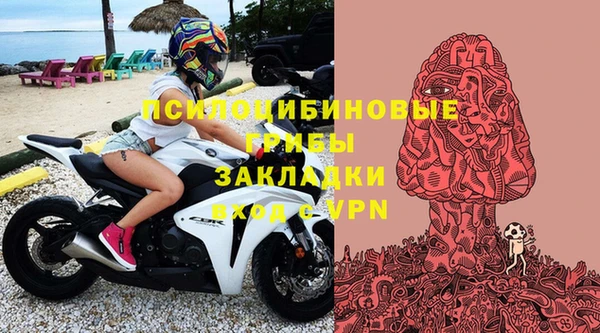 ALPHA-PVP Армянск