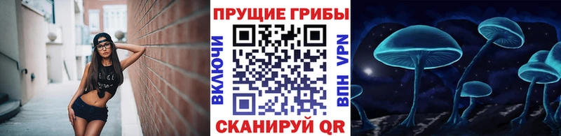 Псилоцибиновые грибы прущие грибы  Тюкалинск 